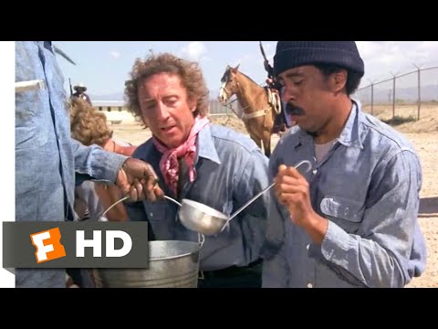 Stir Crazy (1980) - Your Debt to Society Scene (5/10) | Movieclips