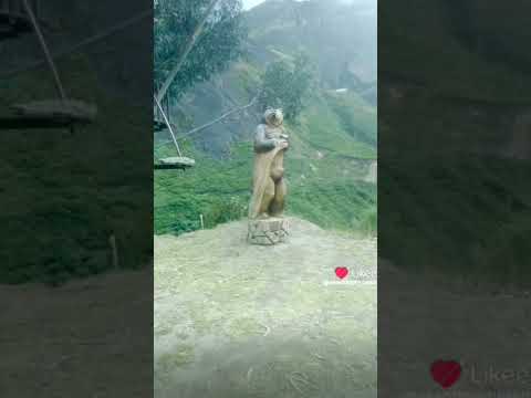 Visita el mirador del oso andino en San José de Sigsipamba Pimampiro Imbabura Ecuador