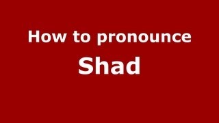 How to pronounce Shad