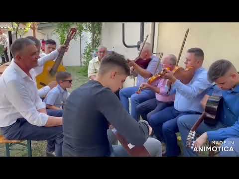 Ceteră lemnut cu dor, Oas