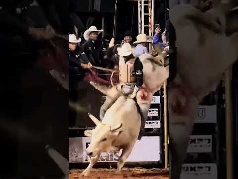 RODEIO UMUARAMA-PR - ACR SUPERSTARS - TEMPORADA 2026 #montarias #rodeioshow #country