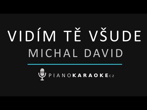 Michal David - Vidím tě všude | Piano Karaoke Instrumental