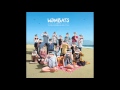 The Wombats - Anti-D [Track 04]