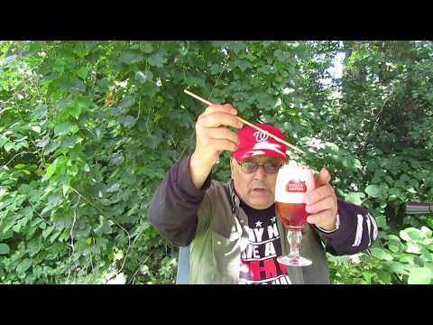 Rons beer, home made blackberry lager # 144