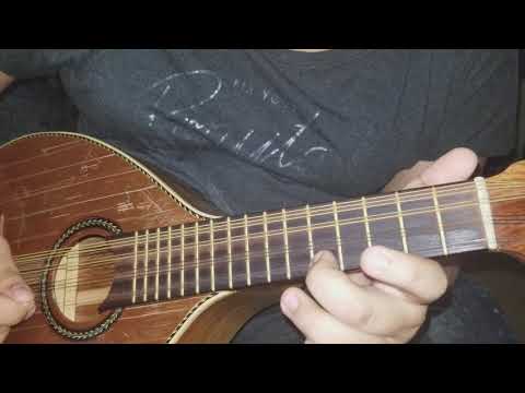 Como la flor  ( Selena)