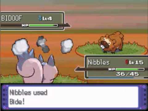 Pachirisu Only Run - Floaroma Town