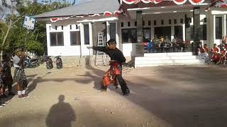 preview picture of video 'Jurus Tunggal Baku Tangan Kosong (karnaval 2018 Sumba Timur, Umalulu)'