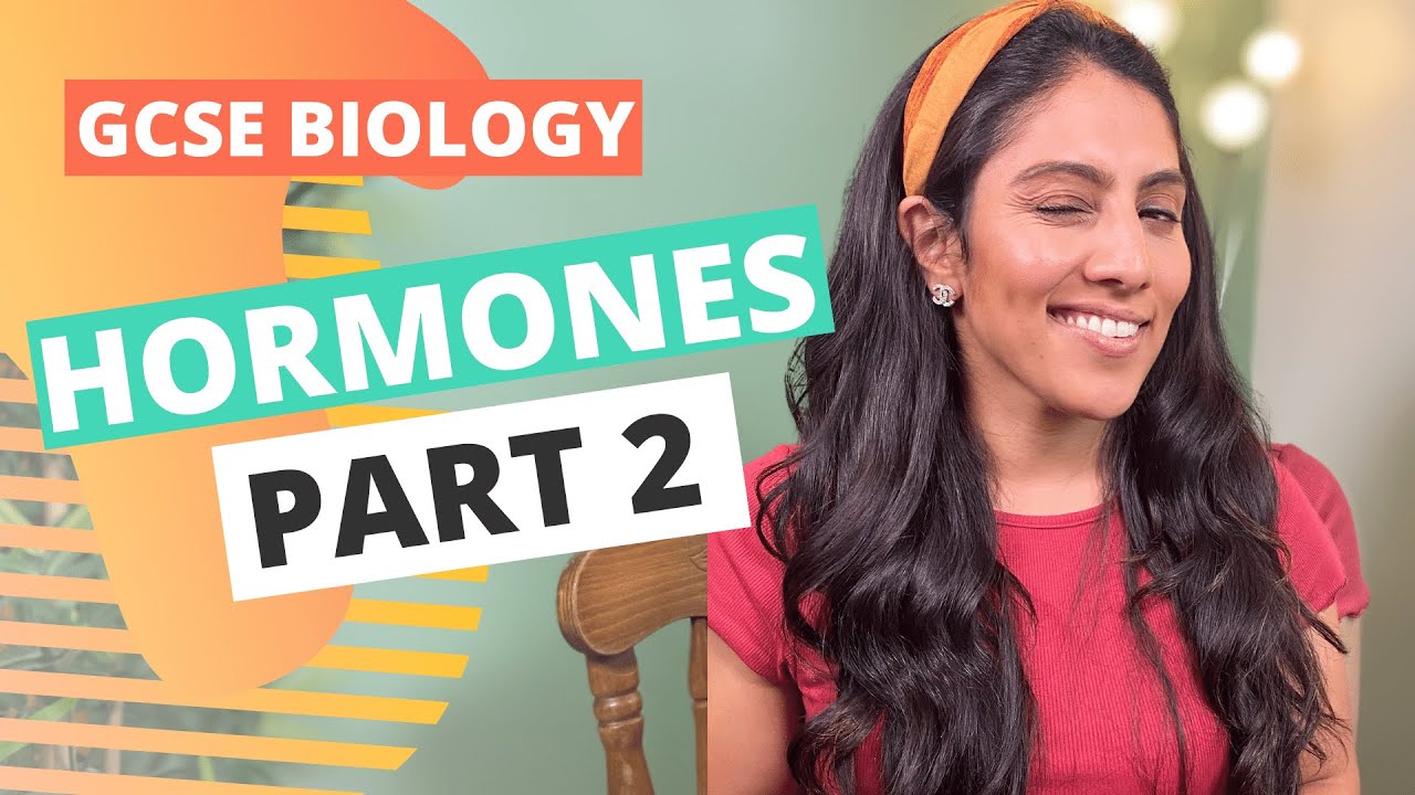 Hormones & the Endocrine System (Part 2) | GCSE / IGCSE Biology