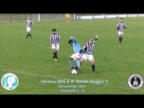 Samenvatting Hermes DVS 3 - Steeds Hooger 2