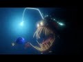 The Anglerfish Finding Nemo HDR