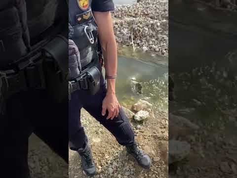 Momentos de tensión en la Vega de Mestanza: entran las máquinas excavadoras con la policía