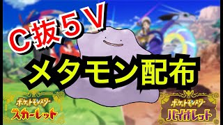 【メタモン】C抜け５V配布します（＊レイドではありません）【ポケモンSV】