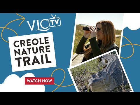 Explore the Creole Nature Trail | VLC-TV