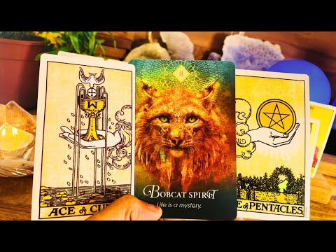 Taurus 🍀NEVER SEEN ANYTHING LIKE THIS…TRUST ME THIS IS BIG !!! ♉️Money Tarot