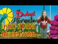 Beauty Of Dubai Miracle Garden 2021