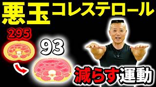 【コレステロール】1日1回！悪玉コレステロール値を減少させる運動！【全身痩せに効く】