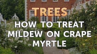How to Treat Mildew on Crape Myrtle