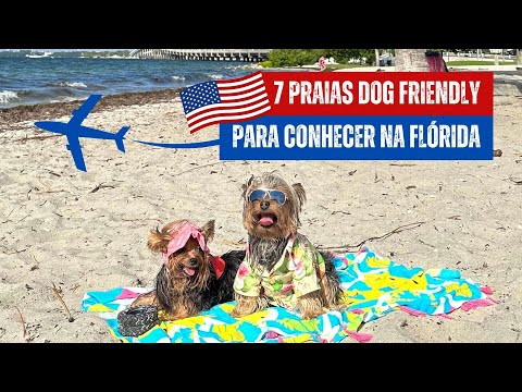 Tem praia pra cachorro nos EUA?