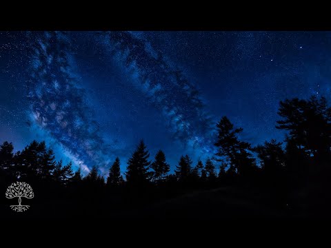 Heals you while you sleep, restores you emotionally and physically - Stress and anxiety relief