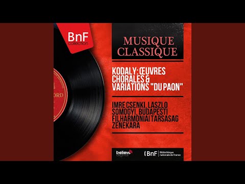 Mátra Pictures: No. 3, Madárka, madárka