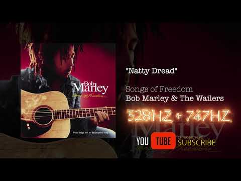 NATTY DREAD - (528Hz + 747Hz) - Bob Marley & The Wailers [Official Audio]