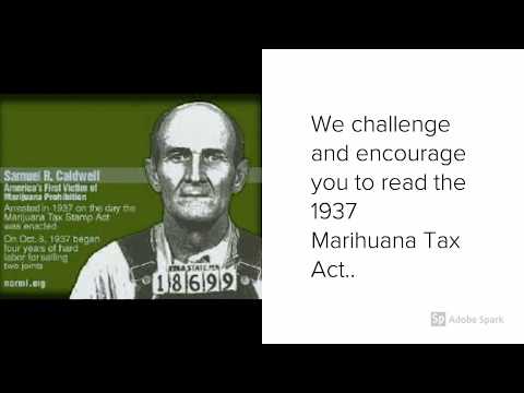 Why does your state cannabis initiative look like the 1937 Marihuana Tax Act?