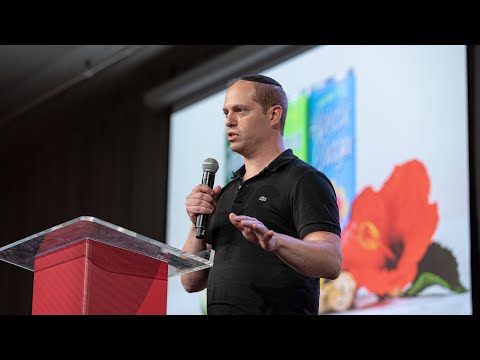 New Beverage Showdown 23 - Semi-finals: Fresh Fizz Sodas