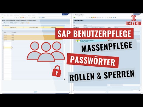 SAP Benutzerpflege Massenpflege - Passwörter, Sperren und Rollen setzen [deutsch]