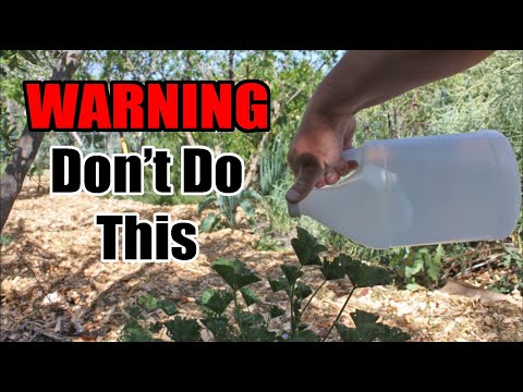 This Is Why You Should NOT Use Vinegar Weed Killer In The Garden