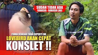 Download lagu LOVEBIRD AKAN CEPAT KONSLET DENGAN CARA INI - PROSES KONSLET BERSAMA GALANG GEMILANG ABADI mp3