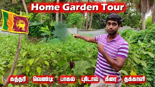 Home Garden Tour 🍆🍅🌶️🥒🥦  யா�
