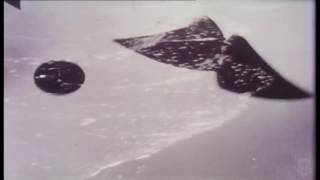 One Track Brain - Private Sky // OTB#008