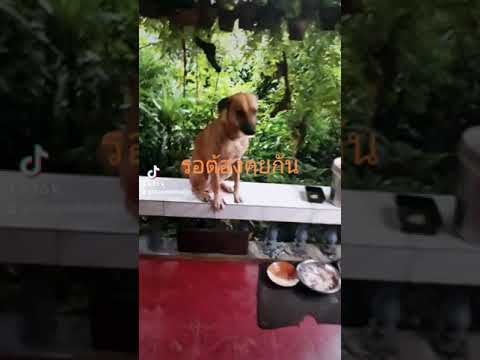 คุยก่อนทำงาน