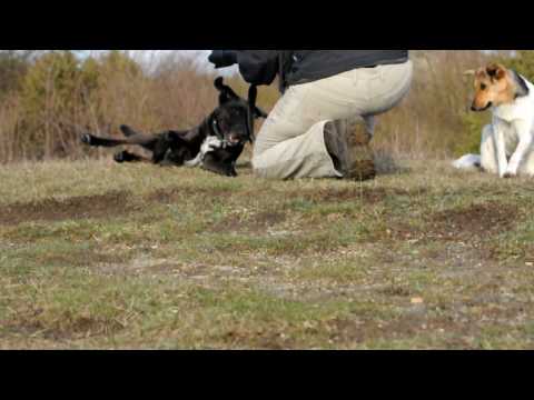 Marek, Lourdes, Mila am Dörnberg