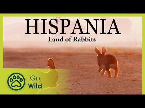 Hispania: Land of Rabbits | Go Wild