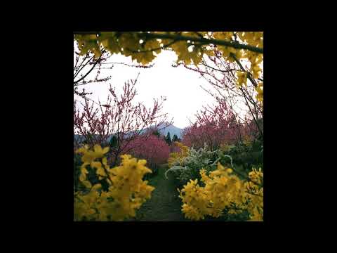 Video thumbnail for FlowerAfterFlower