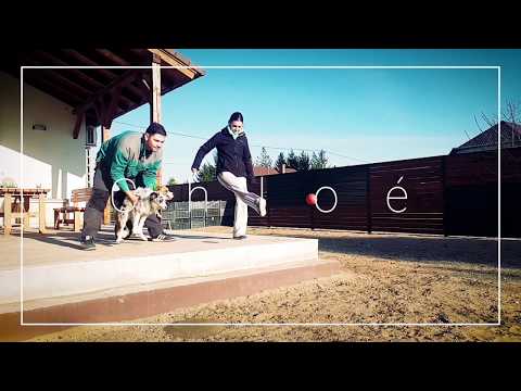 Chloé rush @ 2019.11.23.