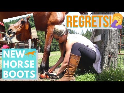 New Horse Boots REGRETS! 🤦🏼‍♀️ | Gypsy Equestrian