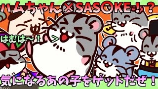 【実況】気になるあの子を振り向かせるボクの頑張り物語(壮大)【HAMUSUKE-ハムスケ-】
