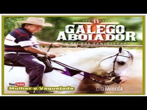 GALEGO ABOIADOR