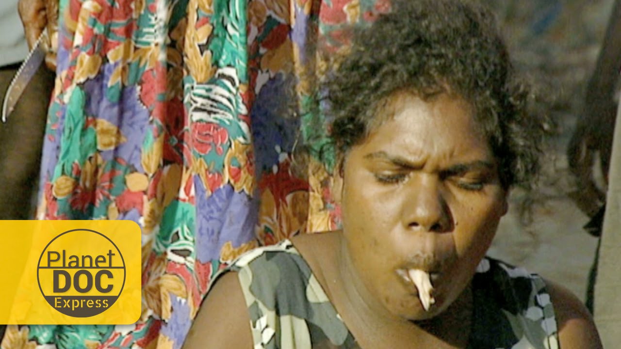 What animals did the aborigines eat? Tipseri