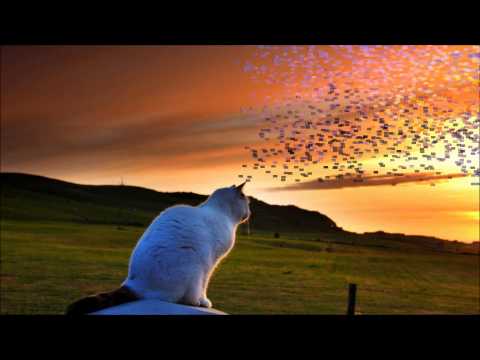 Niks Feat  3Ko -  Все Още Влюбен 2