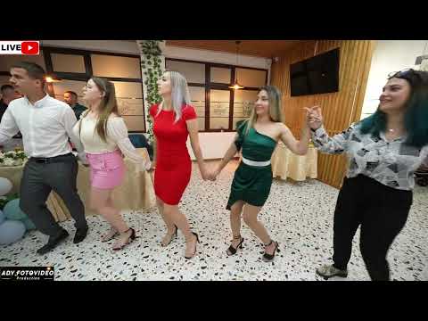 Mihaela Daju & Formatia  - Colaj hore 2024 (COVER)