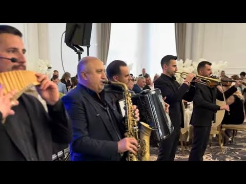 General Musik- Sârbă instrumentală| live ✅