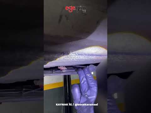 İKİNCİ EL ALDIĞI ARACIN ALTINDAN BÖCEK ÇIKTI!