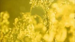 Björk - Sun In My Mouth - Music Video