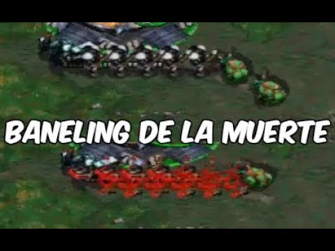 2T vs 2Z - Starcraft Sor mod 4.3.2