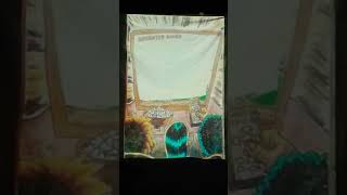 Cannibal Monkeys documentary by Jeffrey Lewis and Los Bolts