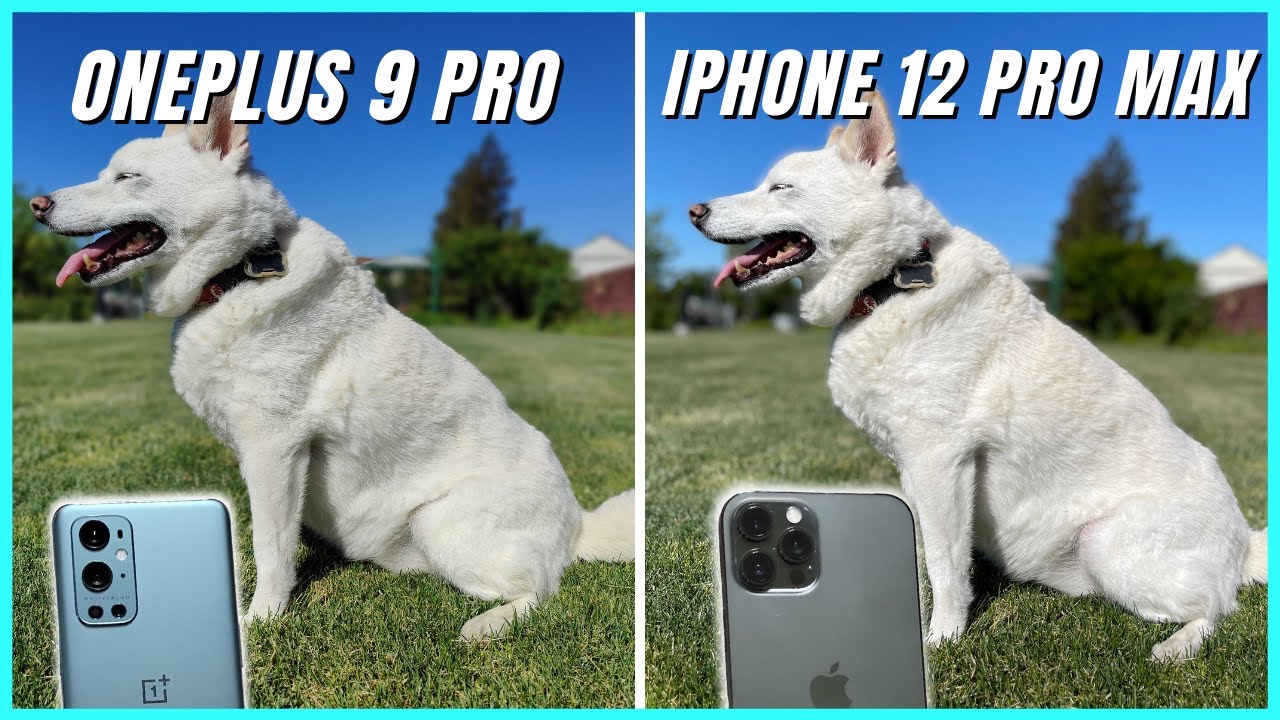 OnePlus 9 Pro vs iPhone 12 Pro Max Camera Comparison | After OP9 Pro System Update #4 (11.2.4.4)