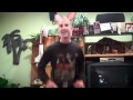 Dominick The Donkey